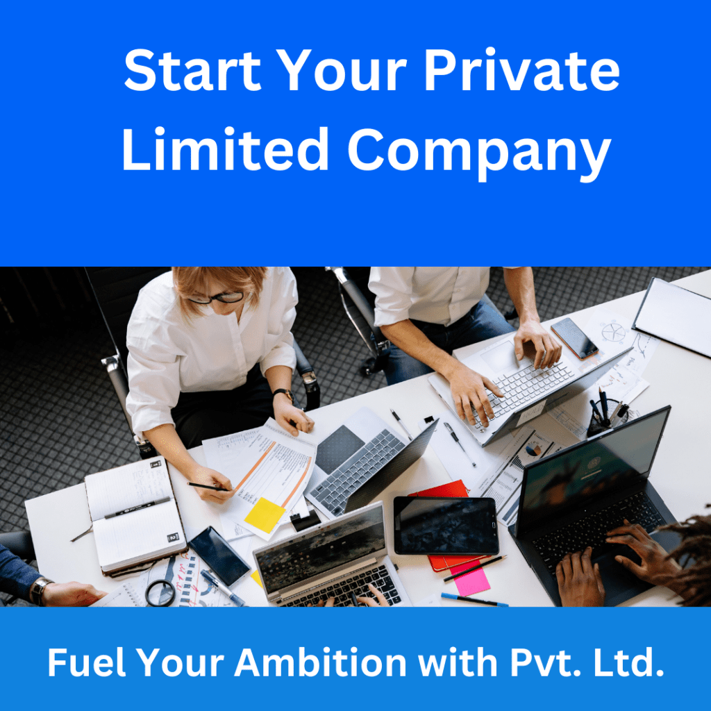 private limited company