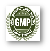 gmp